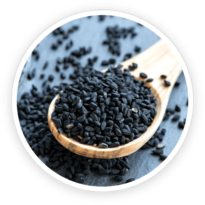 Babchi seeds