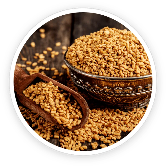 Fenugreek seeds